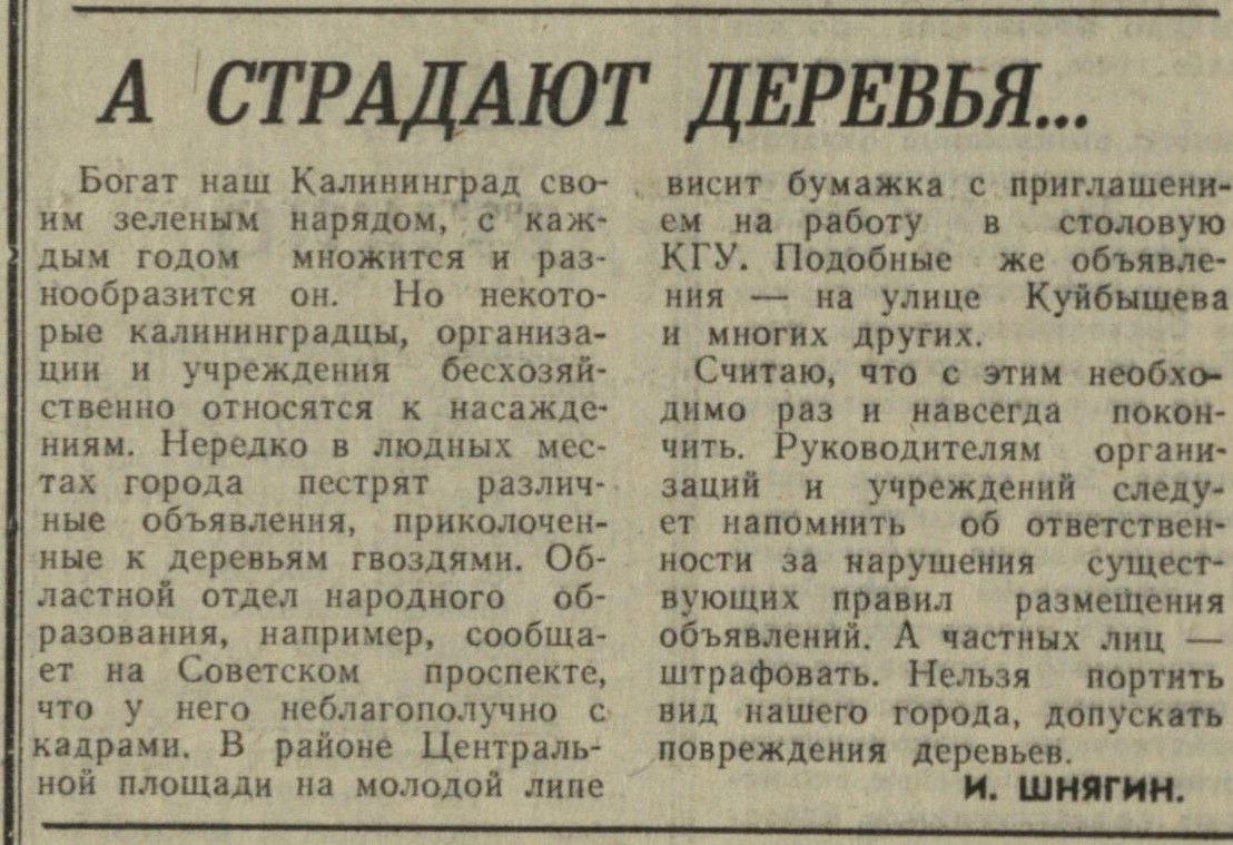 Этот день в истории Калининграда: Этот день в истории Калининграда: