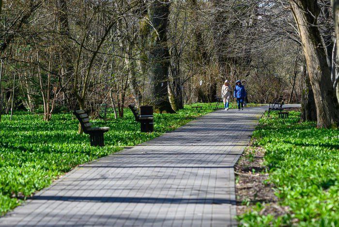 Весной «скачет» давление? Это не просто капризы погоды