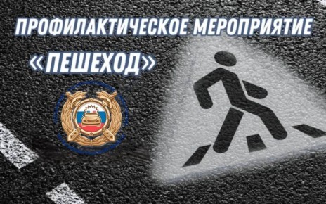 Региональная Госавтоинспекция информирует участников дорожного движения о проведении на территории области с 16 по 25 марта 2026 года ll этапа специального профилактического мероприятия «Пешеход»