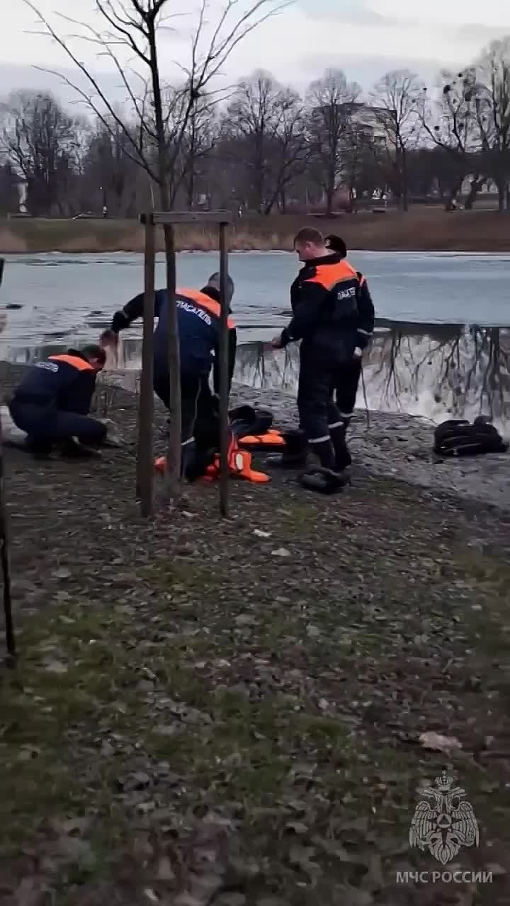 В Черняховске мужчина с риском для жизни вытащил ребёнка из-подо льда