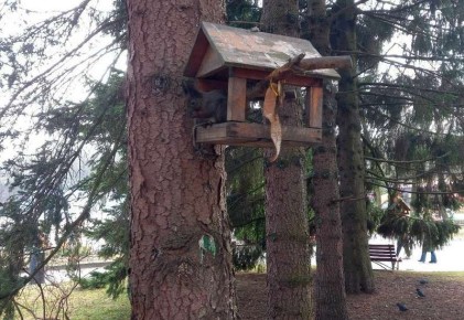 � ������������ �������� ��������� ��������� ����� � �������� ��� ����