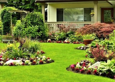 ������ �� ������� ������� � �������: ��� ������� ��������� ���