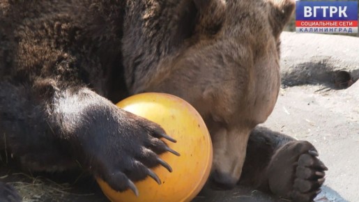 ��� ���� �������������, ��� ������ ����� � ������� ���� ���������