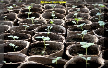 16 �������� � ������ ��������� �������� � ��������� �� ��� ������: ��� �������� �������� ����� ����� ���������