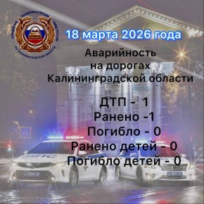 �� ����� ������������ ���������������� �������� 3125 ��������� ������ ��������� ��������, � ��� �����: