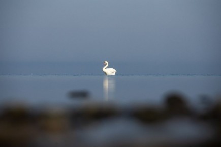 ������ ����, ��������������� �������