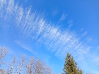 �������������!. �� ��� ������ ��� ������? �� �����-�� ������ ���� ��� �� ��������� ������ �����? ������ � ����������� ����: ����������� ������������ ����