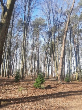 ������ ������ ������ ���������