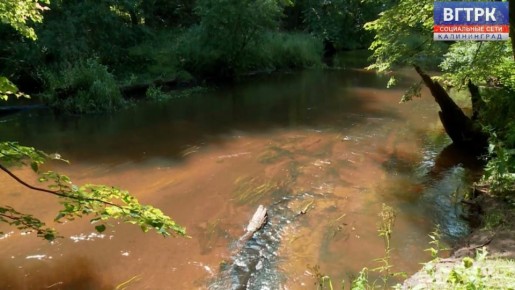 На территории Виштынецкого национального парка благоустроят четыре экотропы и создадут визит-центр