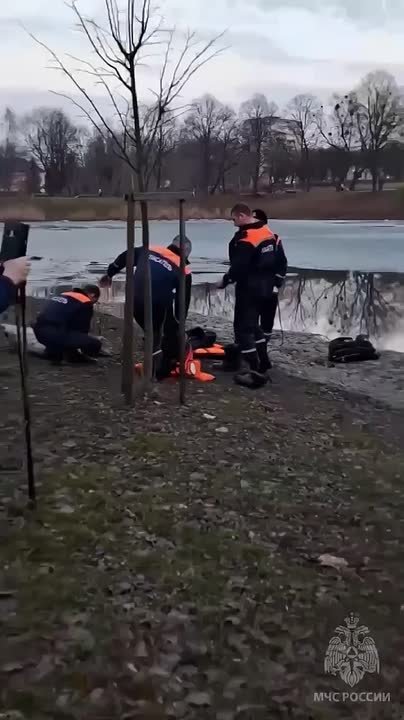 Мать 4-летнего мальчика, который провалился под лед в Черняховске, в тот день выпивала и оставила сына без присмотра