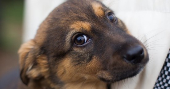 ������ ��������, ��� ����� �������� �� �� �����, ��� � ��������