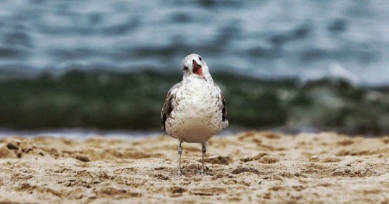 До +14°С и без осадков: погода в Калининградской области на воскресенье