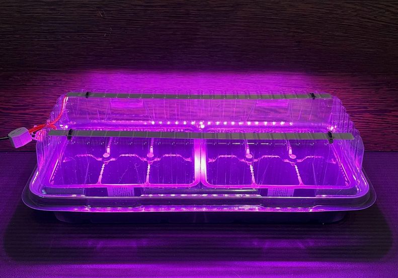 ����� ���������� ��� ��������: �������� � ������������� �� ��������� ����