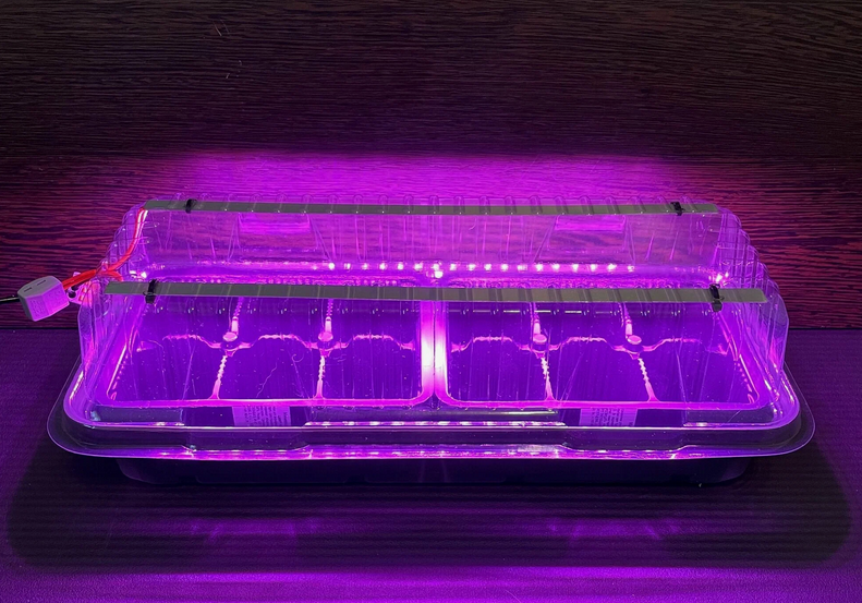 Новые устройства для дачников: удобство и эффективность по доступной цене