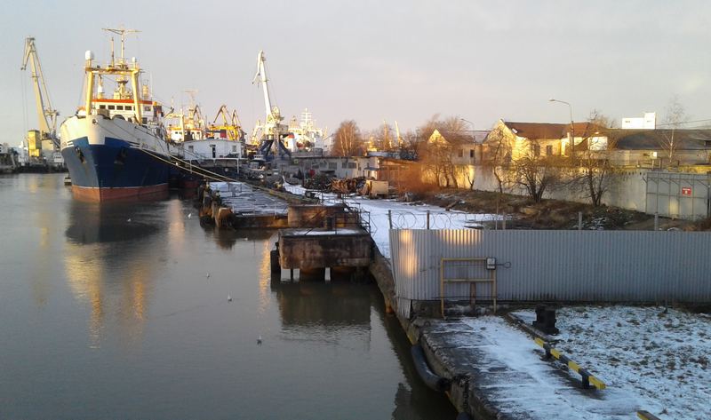 В Калининграде избили заслонившего вид на суда в Преголе