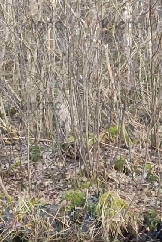 ����� � ��������� ������ ��������� �� ����