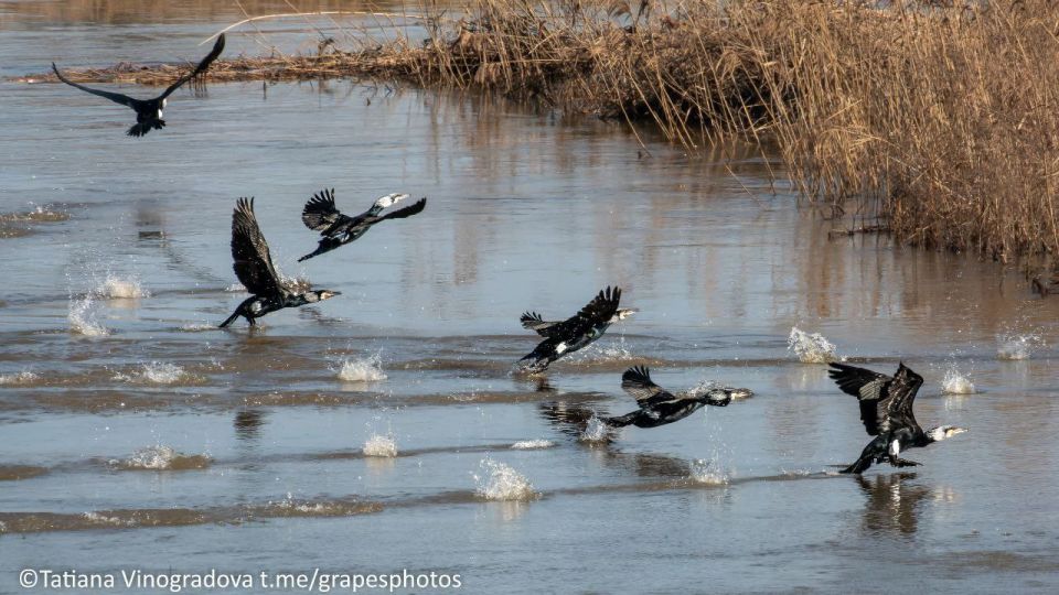 ����� �������� �������. ������ �� �����, �������� � ����� ������ �� ������ � ��� ��������� ���� ���� � ��������� ������� ��� ��� ���������� ������� �����������