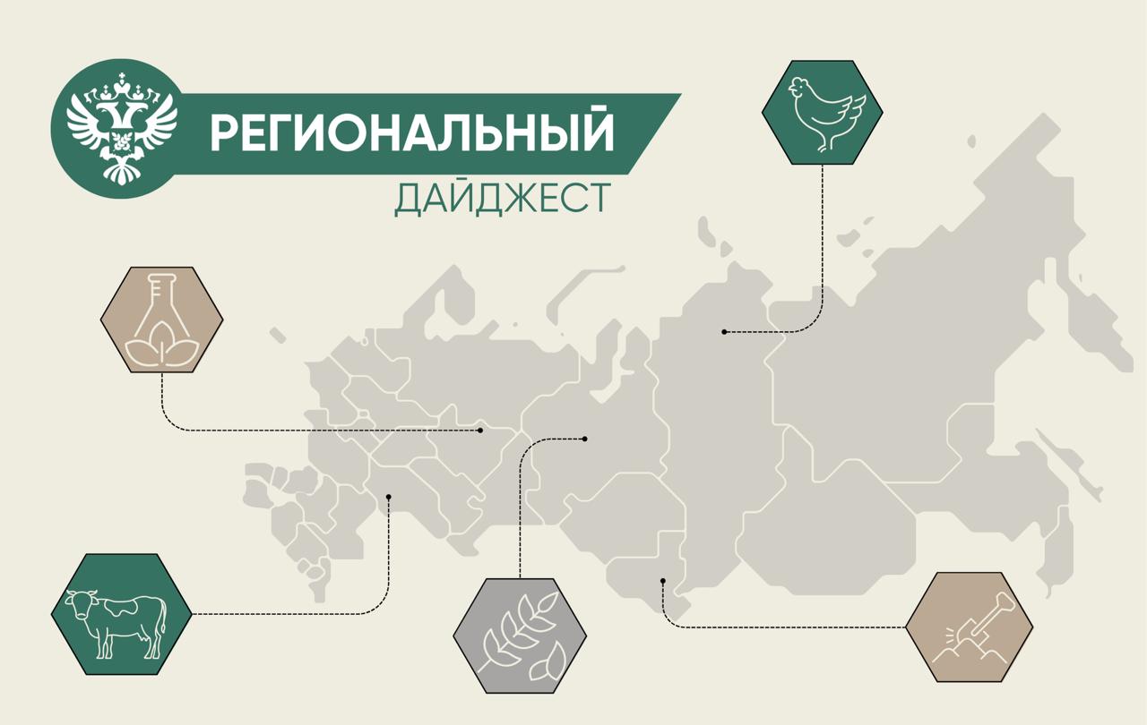 В нашей постоянной рубрике рассказываем о деятельности Россельхознадзора в регионах