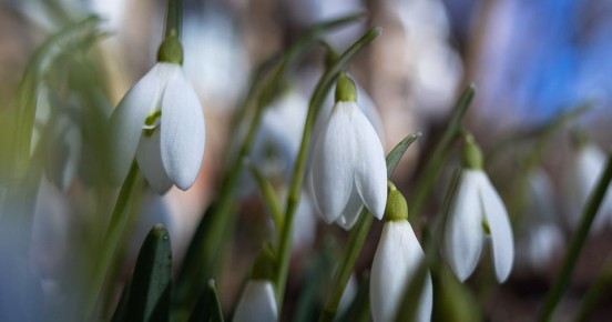 ������� ������������ � ������� �� ��������� �����������