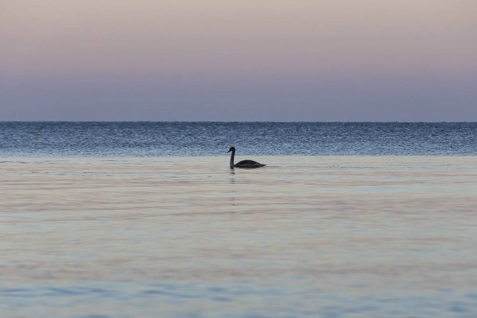 22 марта отмечается День Балтийского моря!