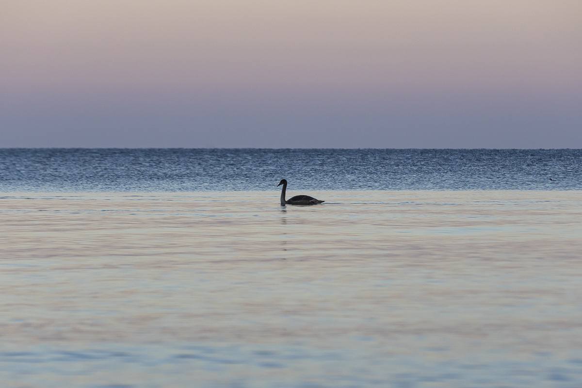 22 марта отмечается День Балтийского моря!