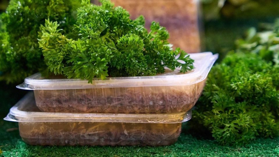 Где найти вкусный холодец на московских ярмарках