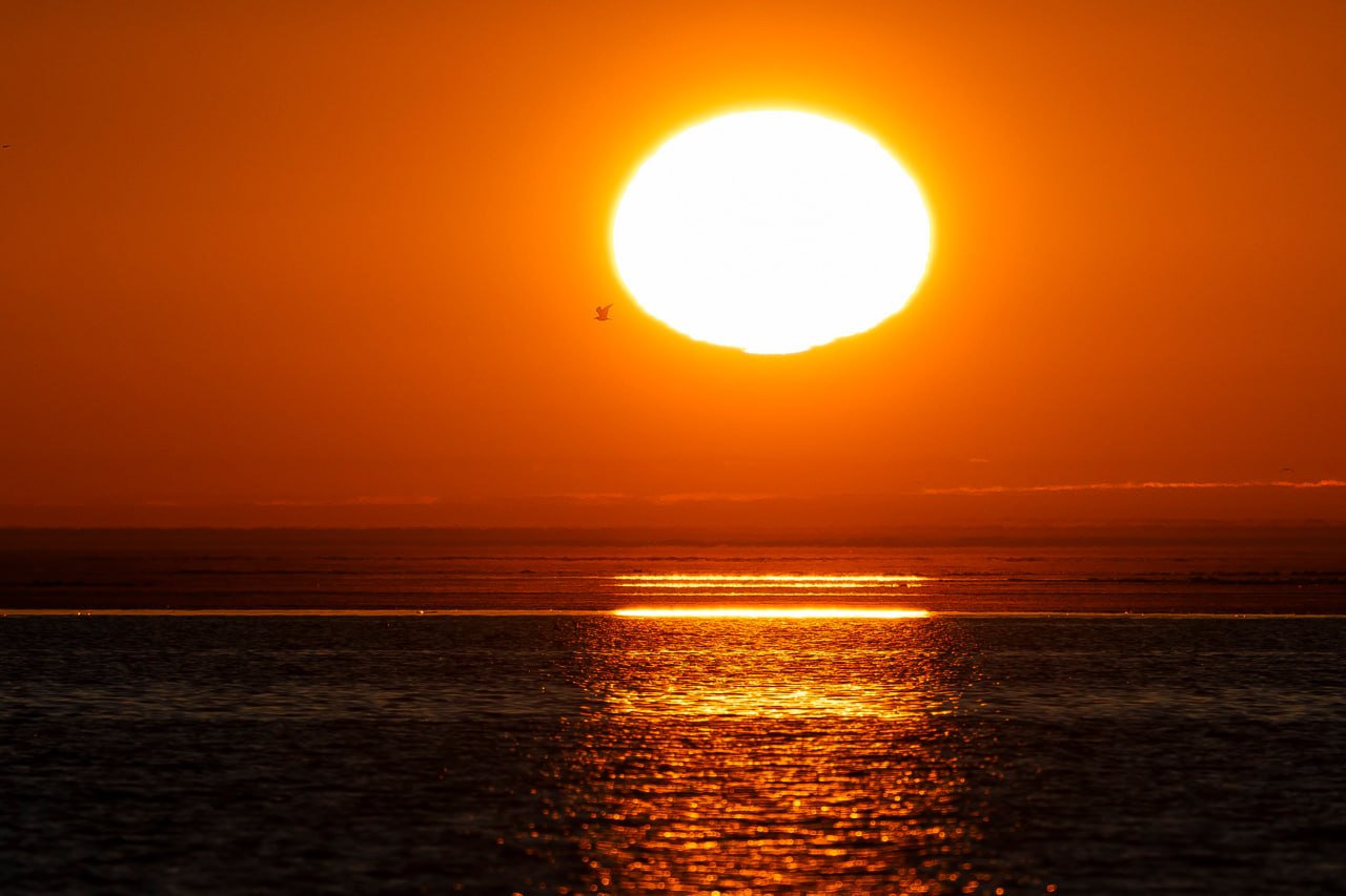 Любуемся закатом на Куршской косе Любуемся закатом на Куршской косе