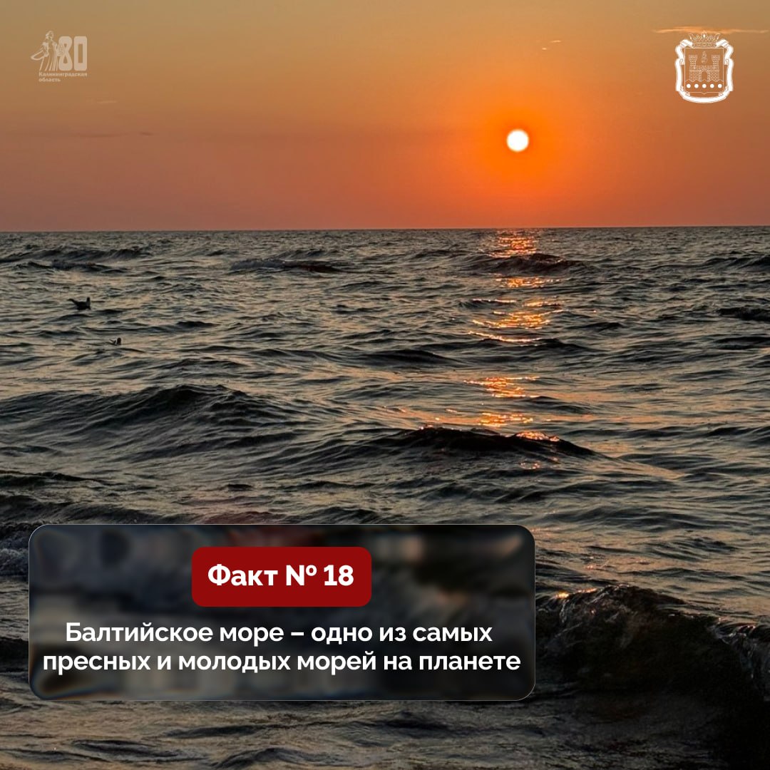 22 марта в России отмечают День Балтийского моря