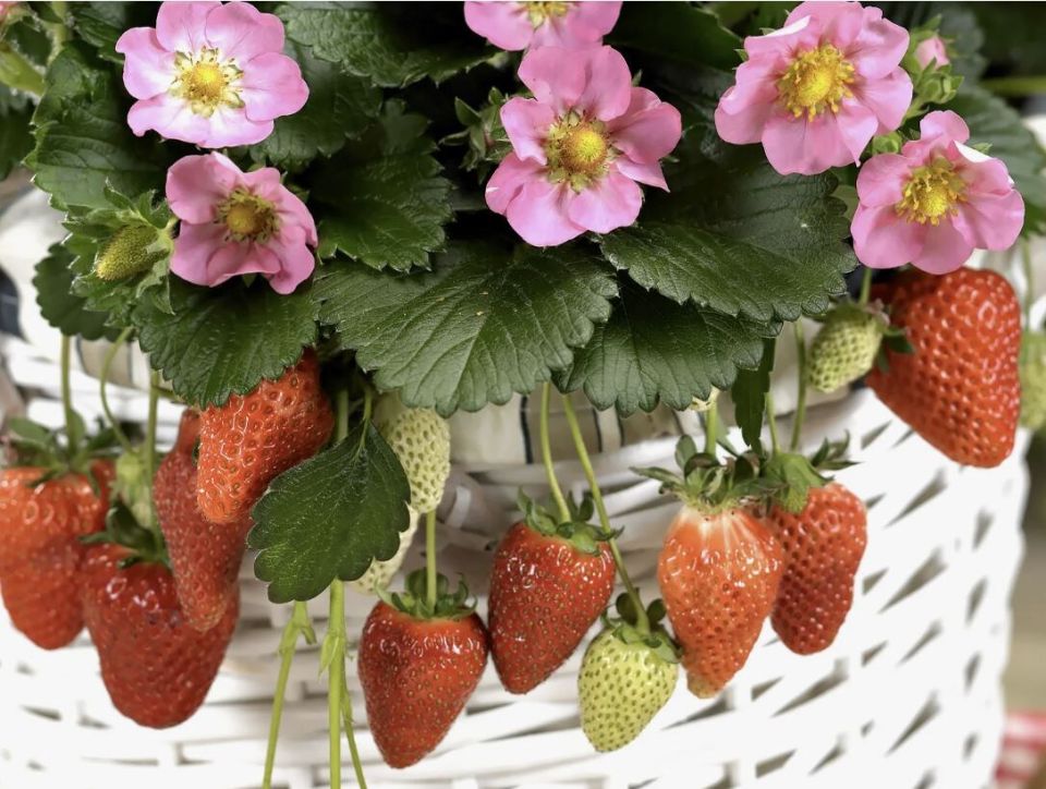 ��������, �������� ��� ����: ������������ ����� ��� ������ ����