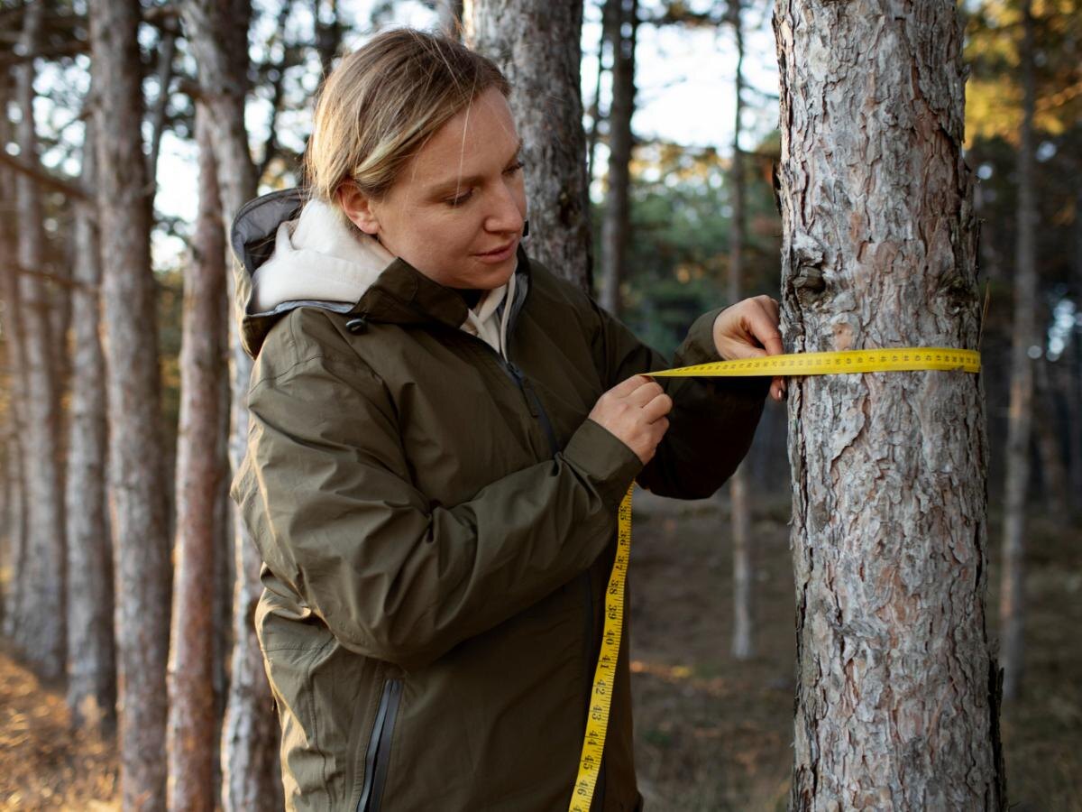 Ловчие пояса: простое решение против садовых вредителей