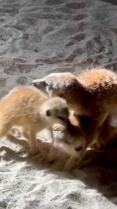 Когда у тебя двое непослушных детей