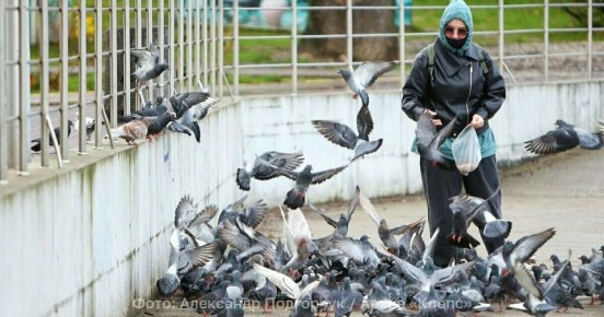 ������ �� �������: ������ ���������, ��� ������ ���� �������