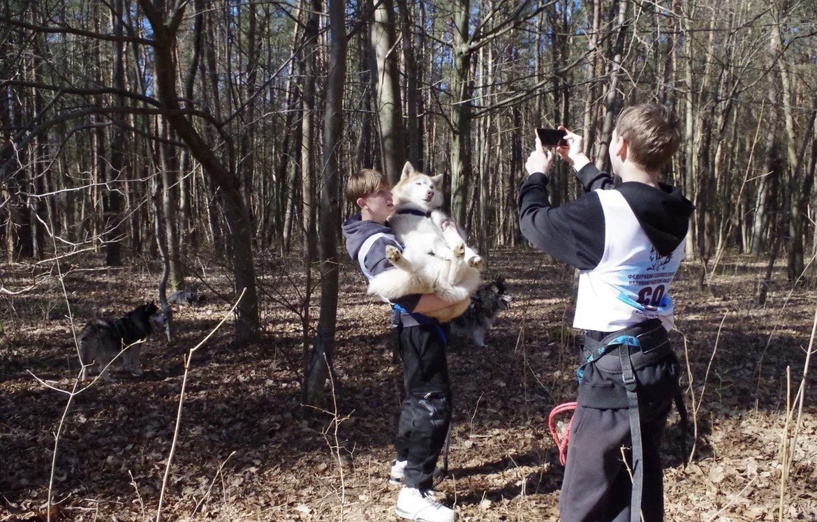 В Правдинске ребята из «Берега надежды» приняли участие в забеге с хаски В Правдинске ребята из «Берега надежды» приняли участие в забеге с хаски