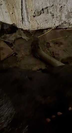 ��� ��� � ������? �� ������ ��?