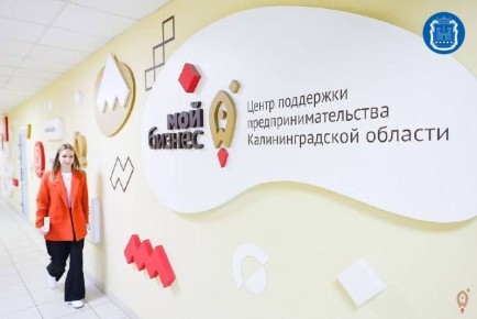 В Калининградской области по поручению губернатора Алексея Беспрозванных формируют реестр местных брендов