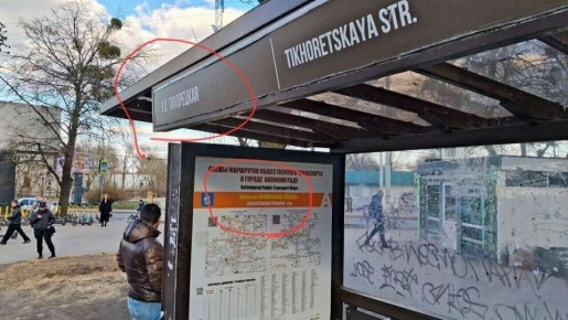 Не уехать после девяти вечера: калининградцы рассказали о проблемах с общественным транспортом