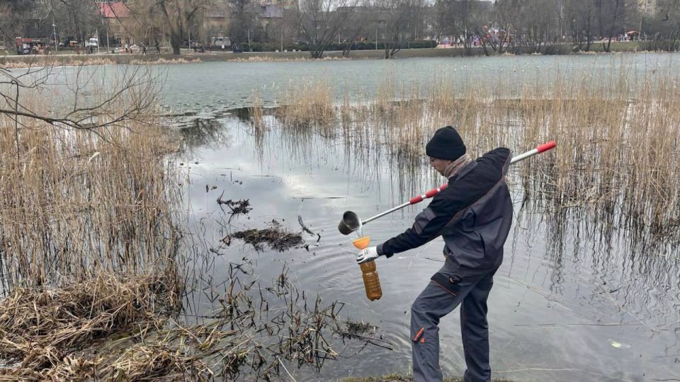 ����������� ���������� ����������� ����� ������ � ������������