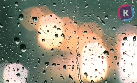 Пасмурно и дождливо: синоптики рассказали о погоде в Калининграде на рабочей неделе