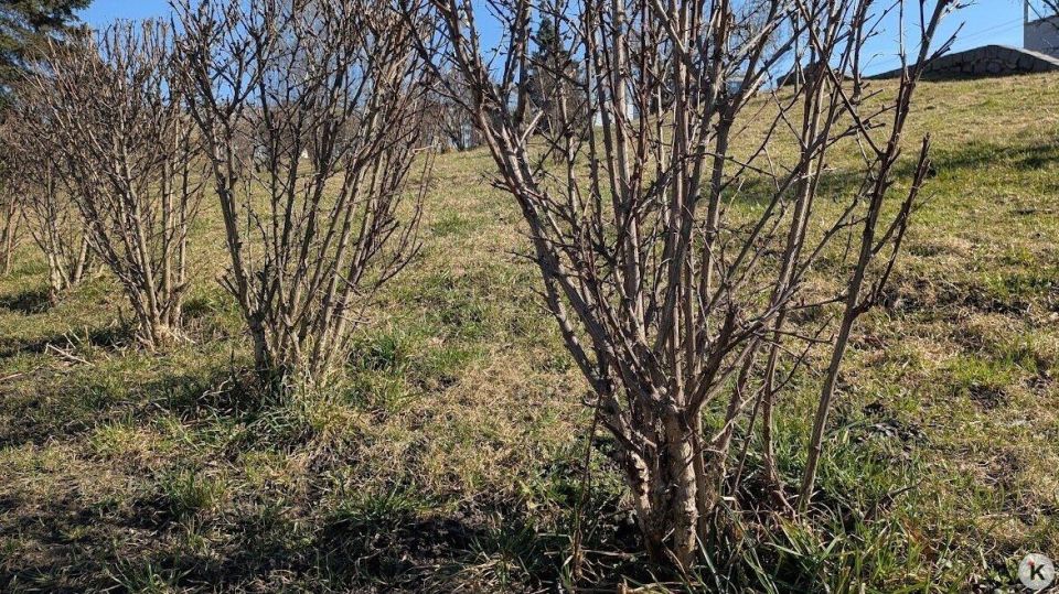 ������ �� ������ �����, �� �� � ���� ������ �� ����� ����� ����� �����