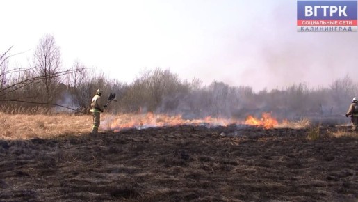 За прошедшие сутки в регионе 27 раз горели поля сухой травы, площадь таких возгораний - более 44х гектаров