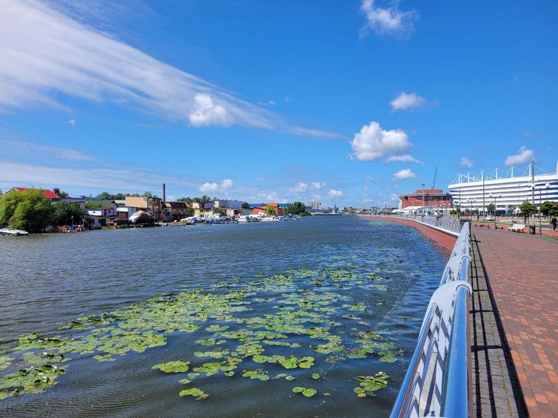 ������� ������� ������ ���� ������� ��� ������ � ������������