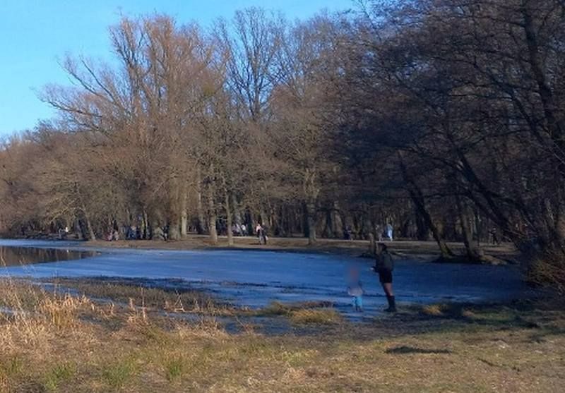 � ������������ ������� ������ �� �� 5-������� ������