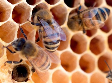 ��� ��������������� ������ ����� ����� ��������� � ������ ������� �����