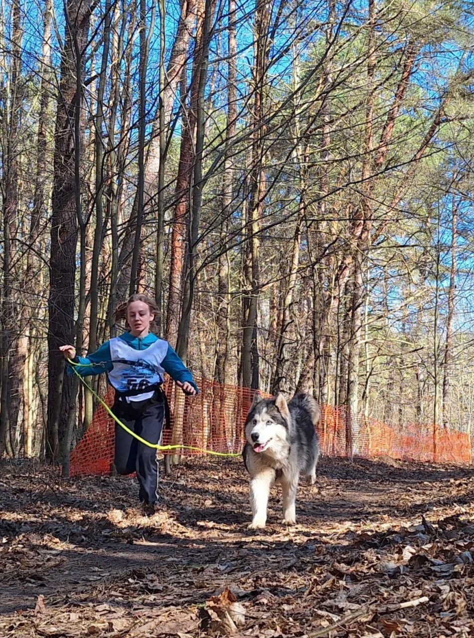 В Правдинске ребята из «Берега надежды» приняли участие в забеге с хаски