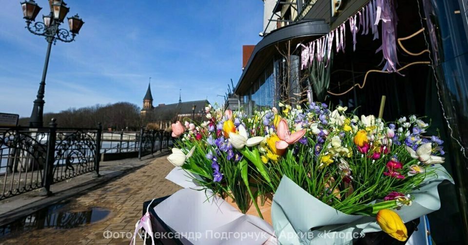 Калининградскую область 23 марта накроет «зонтик» высокого давления: воздух прогреется до +14