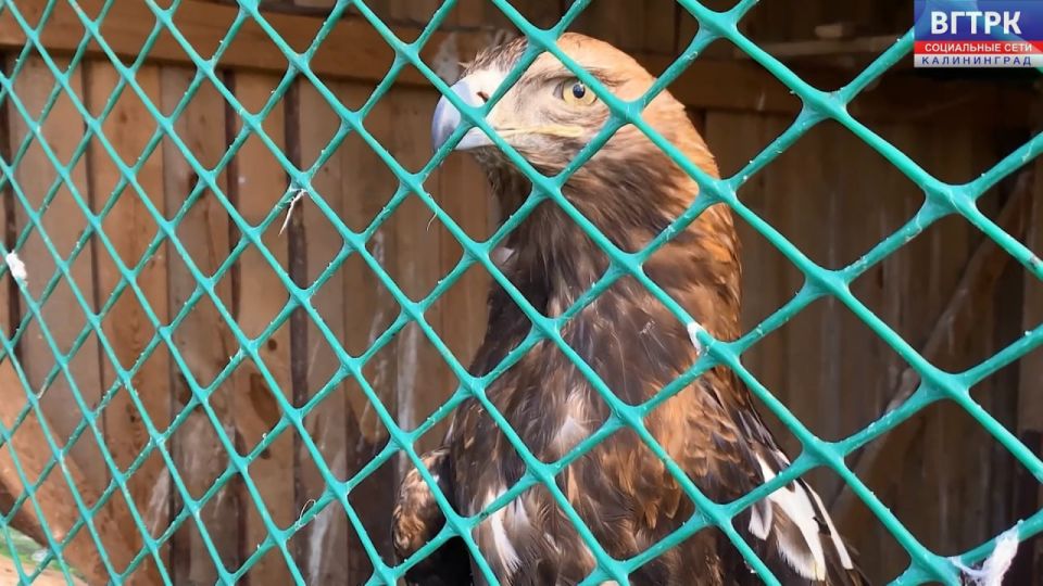 29 ����� � �������� ������� ���� ����