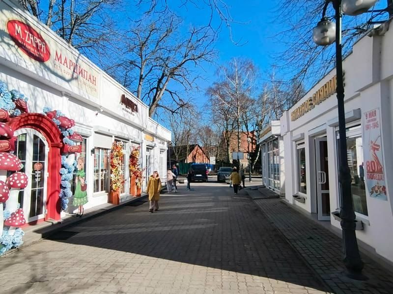 Экс-депутата Янтарного от ЕР посадили за янтарь и наезд на сотрудника ФСБ