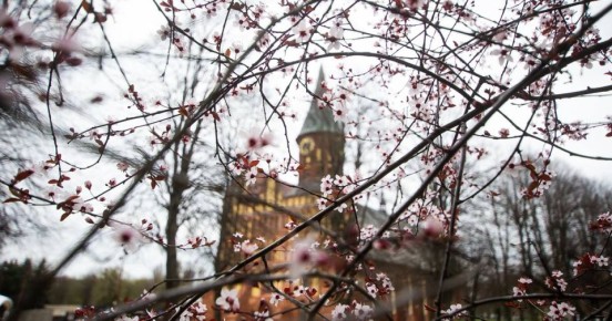 ������ �����, ������� +15: ������� ������ � ������������ � ������� �� 24 �����