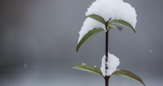 � ������ ������ ������ � ������� ����� ����� ����� ����, ��, ������ �����, ��������� � ���������� � �����