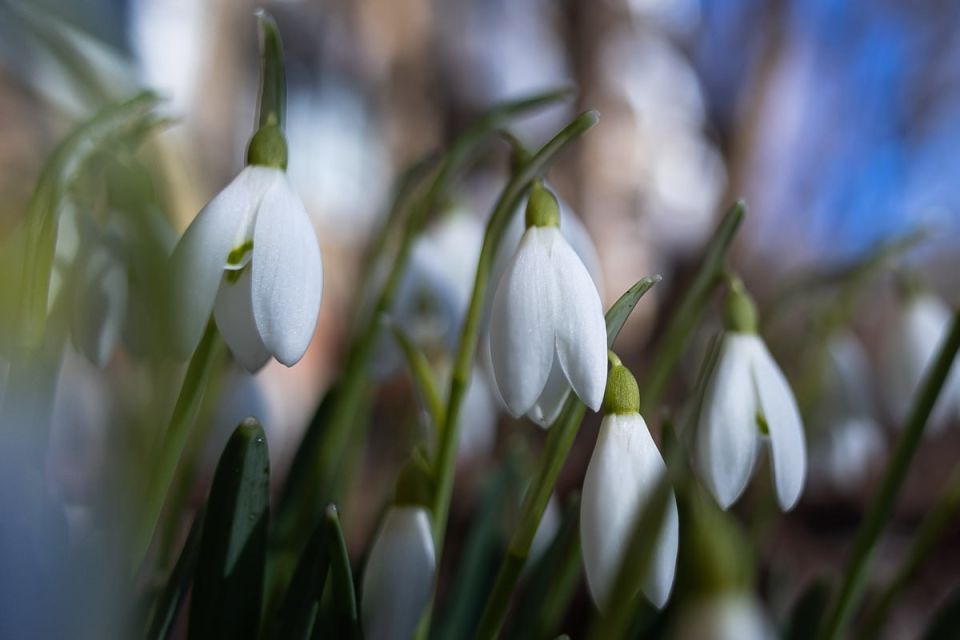 ������ ����!. ������� � ������������ � ������� � ��������� �������� ������ ��� �������